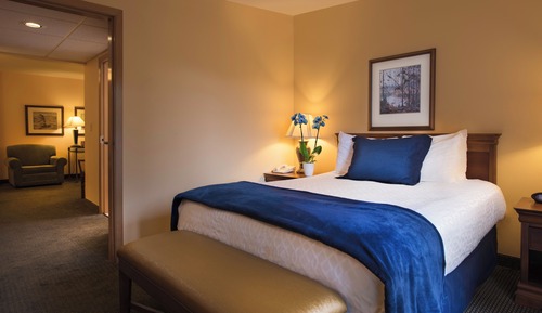 Suite, 1 Queen Bed