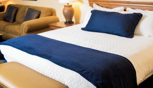 Suite, 1 King Bed with Sofa bed