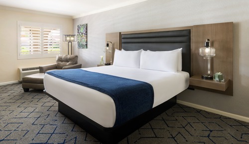 Room, 1 King Bed, Roll-in Shower (Roll-In Shower)