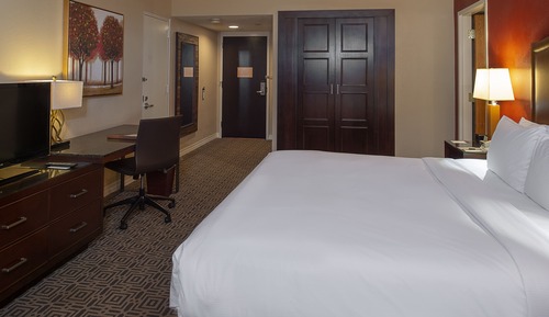 Room, 1 King Bed, Accessible, Non Smoking (Roll-in Shower)