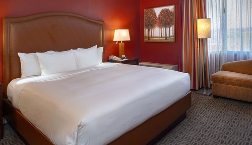 Room, 1 King Bed with Sofa bed (High Floor)
