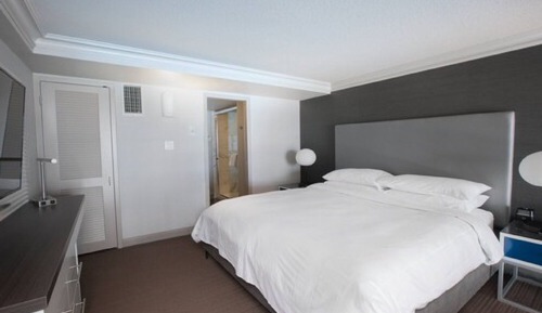 Room, 1 King Bed