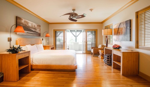 Studio, 1 King Bed, Partial Ocean View