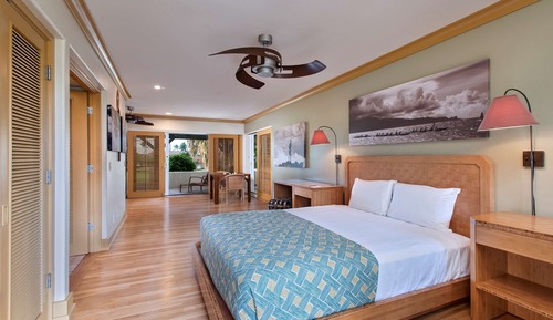 Room, 1 King Bed, Garden View