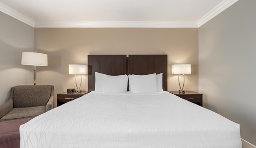 Standard Room, 1 King Bed, Non Smoking, Refrigerator & Microwave