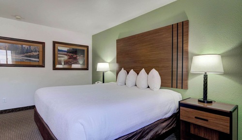 Standard Room, 1 King Bed, Non Smoking, Mountain View