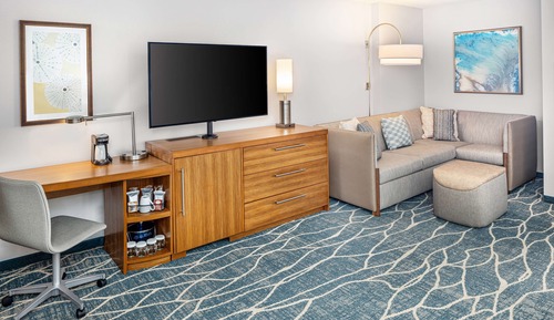 Room, 1 King Bed with Full Sofa Bed Ocean View (Specialty)