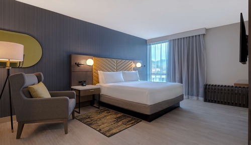 Suite, 1 King Bed