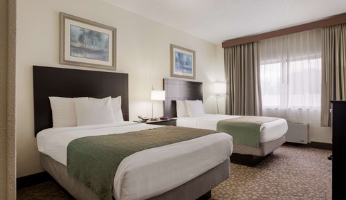 Standard Room, 2 Double Beds, Accessible, Refrigerator & Microwave