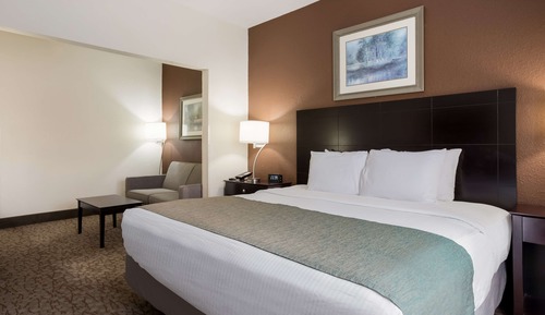 Suite, 1 King Bed, Non Smoking, Jetted Tub (with Sofabed)