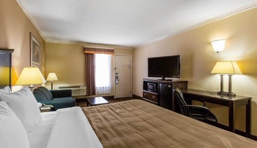 Standard Room, 1 King Bed, Non Smoking (Pet Friendly)