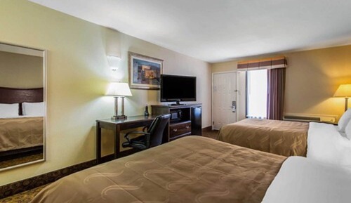 Standard Room, Multiple Beds, Non Smoking (3 Queen Beds, Pet Friendly)