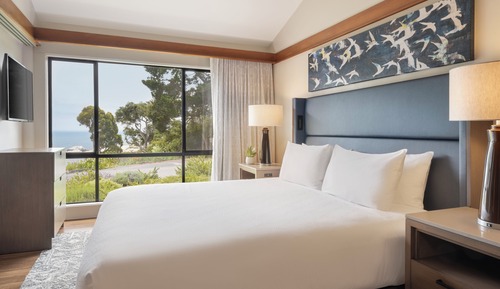 Standard Room, 1 King Bed, Garden View