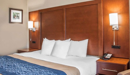 Standard Room, 1 King Bed, Non Smoking