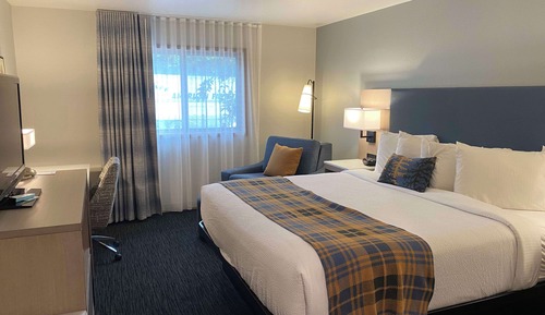 Standard Room, 1 King Bed, Non Smoking (with Single Sofabed)