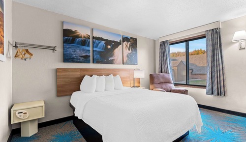 Standard Room, 1 Queen Bed, Non Smoking, Refrigerator