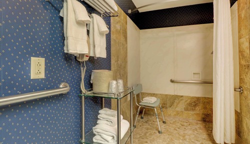 Spa Suite with 1 King Bed, Accessible
