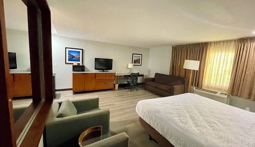 Suite, 1 King Bed Non-Smoking