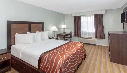 Room, 1 Queen Bed, Accessible