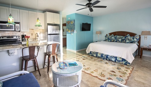 Studio Suite, 1 King Bed (Hillside)