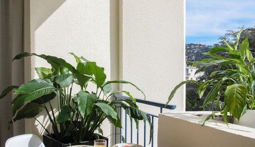 Deluxe Room with Terrace - renovated