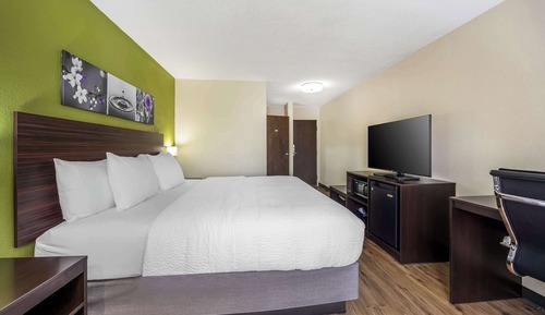 Standard Room, 1 King Bed, Non Smoking