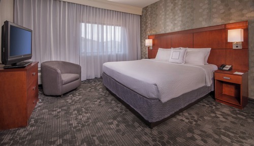 Suite, 1 King Bed with Sofa bed