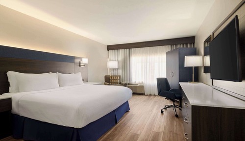 Room, 1 King Bed, Accessible, Non Smoking (Roll-In Shower)