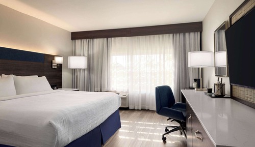 Room, 1 King Bed, Accessible, Non Smoking (Bathtub w/ Grab Bars)