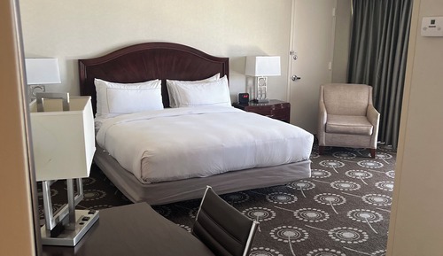 Junior Suite, 1 King Bed with Sofa bed, Non Smoking