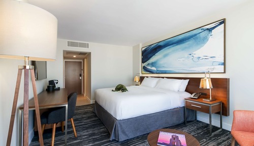 Standard Room, 1 King Bed, Accessible, Tower (Chic King w Roll-in Shower)