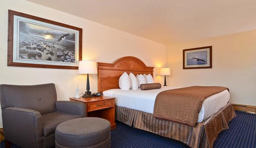 Standard Room, 1 Queen Bed, Accessible, Non Smoking