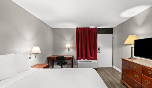 Room, 1 Queen Bed