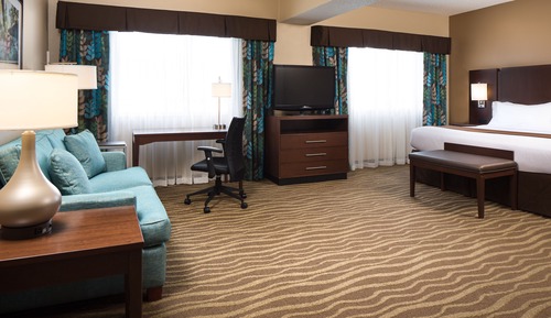 Studio Suite, Multiple Beds