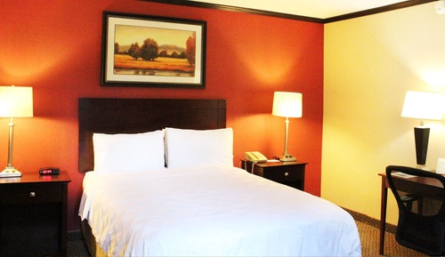 Comfort Room, 1 Queen Bed