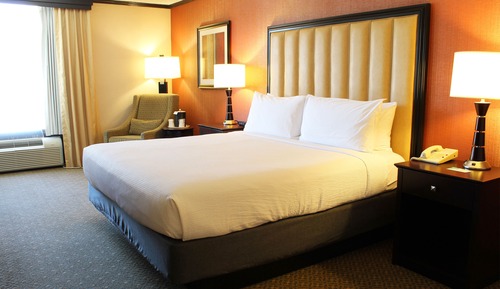 Standard Room, 1 King Bed, Accessible
