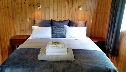 Panoramic Cabin, 1 King Bed, Mountain View
