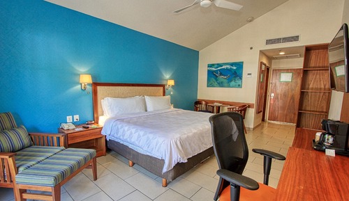 Standard Room, 1 King Bed (Minifridge)