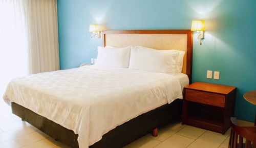 Standard Room, 1 King Bed (Pet Friendly)