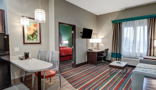 Suite, 1 King Bed with Sofa bed, Accessible, Non Smoking (Efficiency)