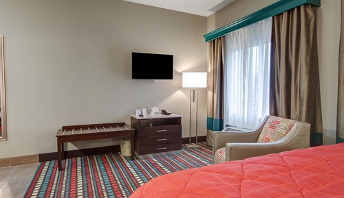 Suite, 1 King Bed, Accessible, Non Smoking (Efficiency)