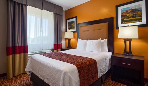 Standard Room, 1 Queen Bed, Accessible, Non Smoking (Walk-in Shower)