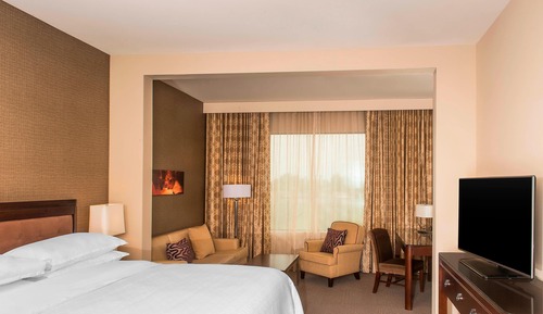 Room, 1 King Bed, Non Smoking