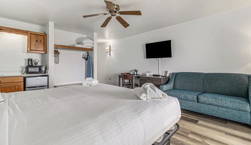 Classic Room, 1 King Bed, Accessible, Lake View
