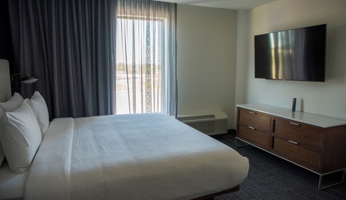 Suite, 1 King Bed with Sofa bed