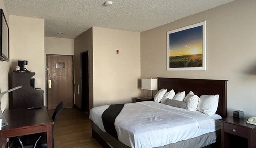 Basic Single Room