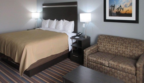 Suite, 1 King Bed with Sofa bed, Accessible, Non Smoking (Roll-In Shower, Mobility & Hearing)