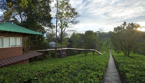 Tea Garden Honeymoon Cottage
