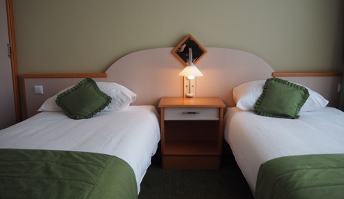 Superior Twin Room, Lake View (With Extra Bed )