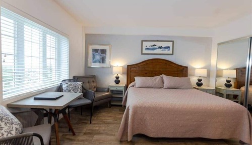 Executive Studio, 1 Queen Bed